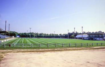 Iconographie - Le stade de football de la Forêt