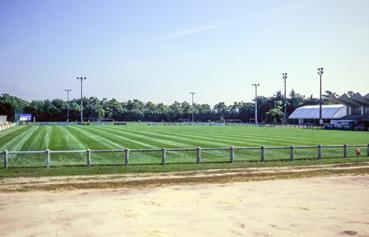 Iconographie - Le stade de football de la Forêt