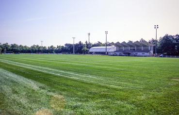 Iconographie - Le stade de football de la Forêt