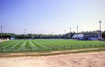 Iconographie - Le stade de football de la Forêt