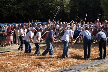 Iconographie - La fête de la mogette - Le battage à la gale ou perche