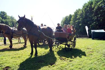 Iconographie - La fête de la mogette - Balades en véhicule hippomobile