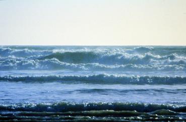 Iconographie - Vagues échouant sur la plage