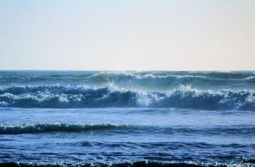 Iconographie - Vagues échouant sur la plage