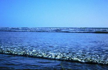 Iconographie - Vagues échouant sur la plage