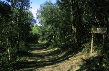 Iconographie - Sentier pédestre Saint Jean - Notre-Dame