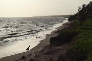 Iconographie - La plage au crépuscule