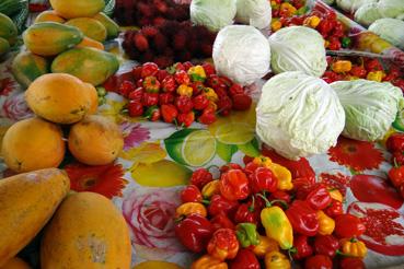 Iconographie - Fruits et légumes sur le marché