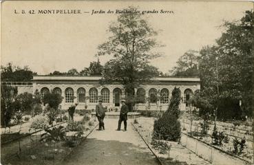 Iconographie - Jardin des Plantes, les grandes serres