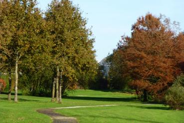 Iconographie - Le parc Saint-Germain