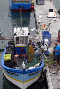 Iconographie - Récupération du poisson dans le filet du Donax