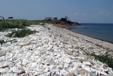 Iconographie - L'île Dumet - Le fort de Ré