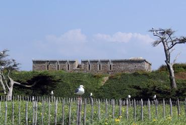 Iconographie - L'île Dumet - Goélands et le fort carré