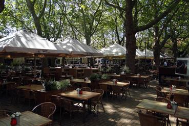 Iconographie - Delft - Terrasse sous les arbres