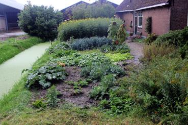 Iconographie - Lopik - Cabauw - Ferme de Van der Scheer-Schep, le jardin