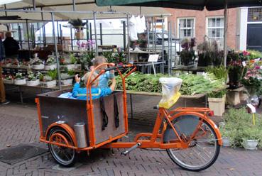 Iconographie - Delft - Cycle triporteur