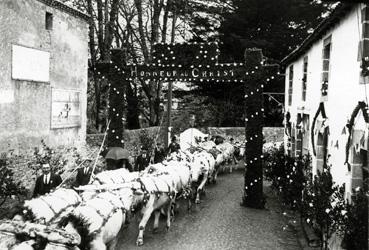 Iconographie - Souvenir de la mission de 1936 - Les boeufs tirant le char du Christ