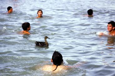 Iconographie - Fête à l'Epoids - Jeu de la pêche des canards