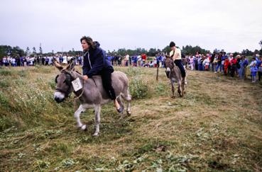 Iconographie - Kermesse - Course d'ânes