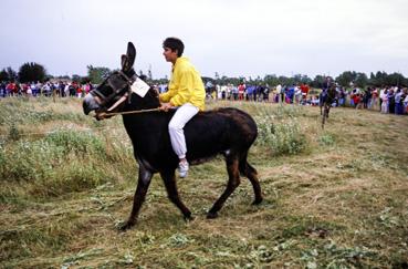 Iconographie - Kermesse - Course d'ânes