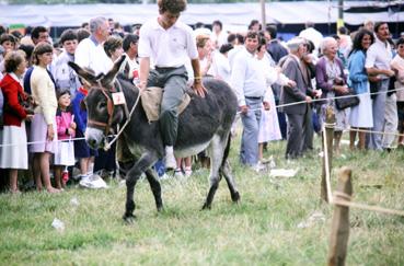 Iconographie - Kermesse - Course d'ânes