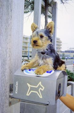 Iconographie - Distributeur de sacs pour déjections canines