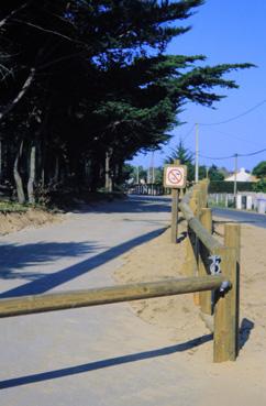 Iconographie - Piste cyclable du littoral