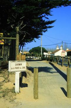 Iconographie - Piste cyclable du littoral