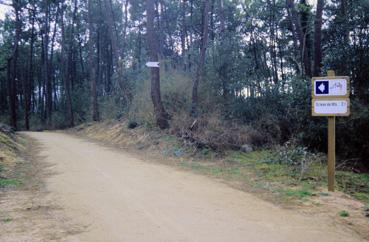 Iconographie - Panneau Sentier cyclable du littorale vendéen