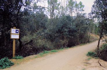 Iconographie - Panneau Sentier cyclable du littorale vendéen