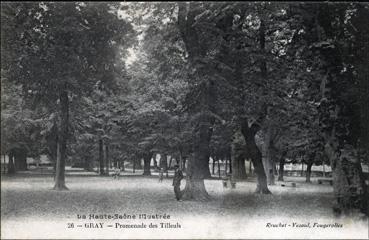 Iconographie - Promenade des tilleuls