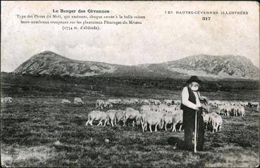 Iconographie - Le berger des Cévennes