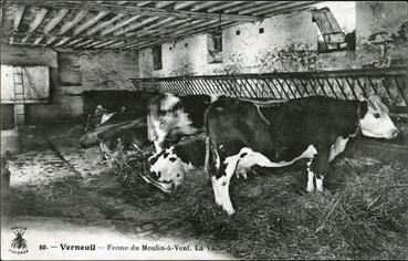 Iconographie - Ferme du Moulin-à-Vent - La vacherie