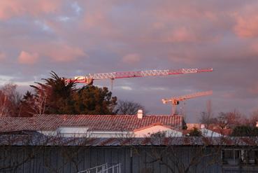 Iconographie - Têtes de grues pour le Super U