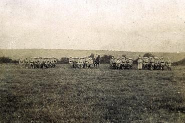 Iconographie - Chasseurs alpins posant en tenue de combat