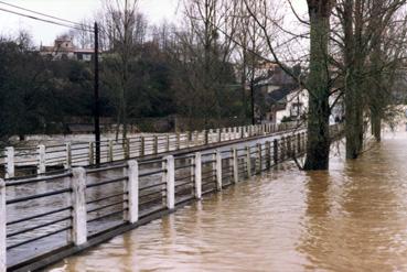 Iconographie - Crue de la Sèvre - L'eau au niveau du pont