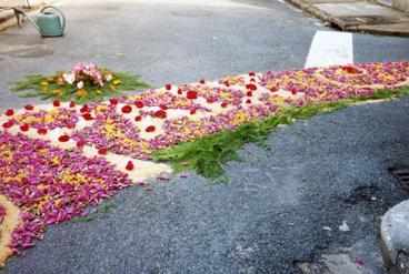 Iconographie - Fête-Dieu - Chemin de fleurs