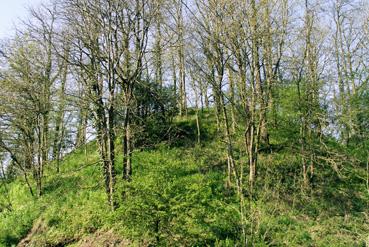 Iconographie - Tumulus du donjon au château