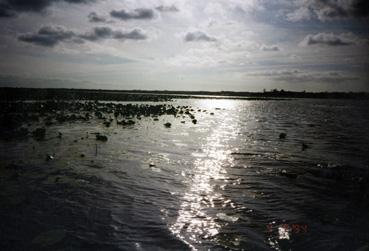 Iconographie - Le lac de Grand-Lieu un soir