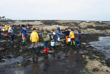 Iconographie - Classe de découverte à Noirmoutier - Pêche sur les rochers