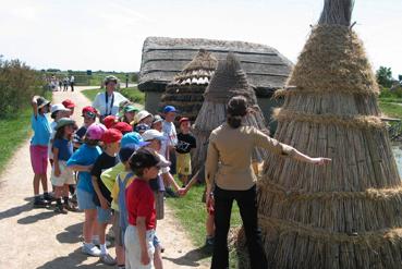 Iconographie - Classe de découverte à Noirmoutier - L'écomusée du Daviaud, Barre-de-Monts