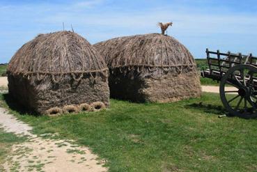 Iconographie - Classe de découverte à Noirmoutier - L'écomusée du Daviaud, Barre-de-Monts