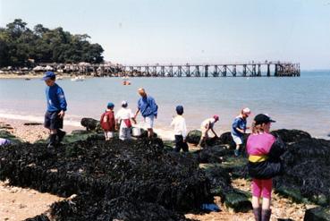 Iconographie - Classe de mer en juin à Noirmoutier - Pêche à la plage des Dames