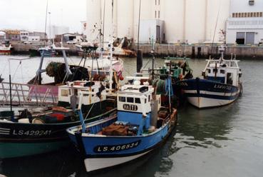 Iconographie - Bateaux de pêche au port