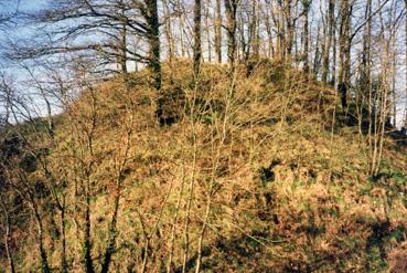 Iconographie - Le bute dans l'enceinte du vieux château