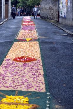 Iconographie - Fête-Dieu - Chemin de fleurs