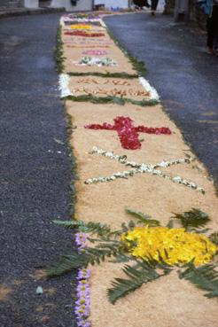 Iconographie - Fête-Dieu - Chemin de fleurs