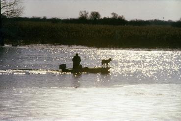 iconographie - Alphonse Joyeux sur le lac de Grand-Lieu