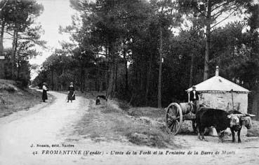 Iconographie - L'orée de la forêt et la fontaine de la Barre de Monts