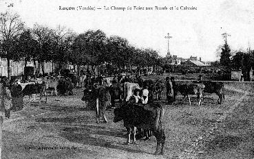 Iconographie - Le champ de foire aux boeufs et le calvaire